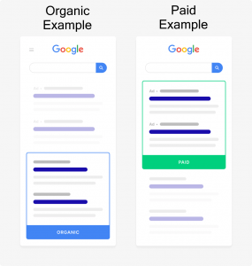 Organic and Paid SEO Examples