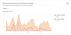 google my business views