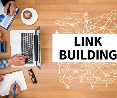 link building for a new website