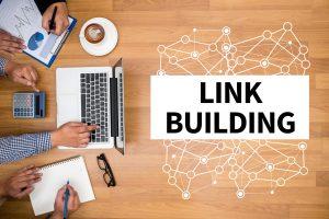 link building for a new website